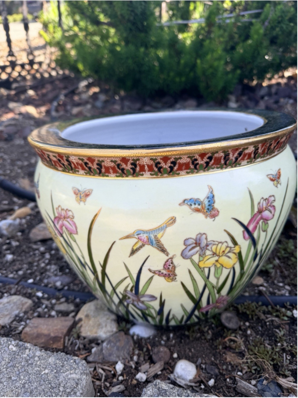 Vintage Large Chinese vase with HUMMINGBIRDS BUTTERFLY & IRISES 12”